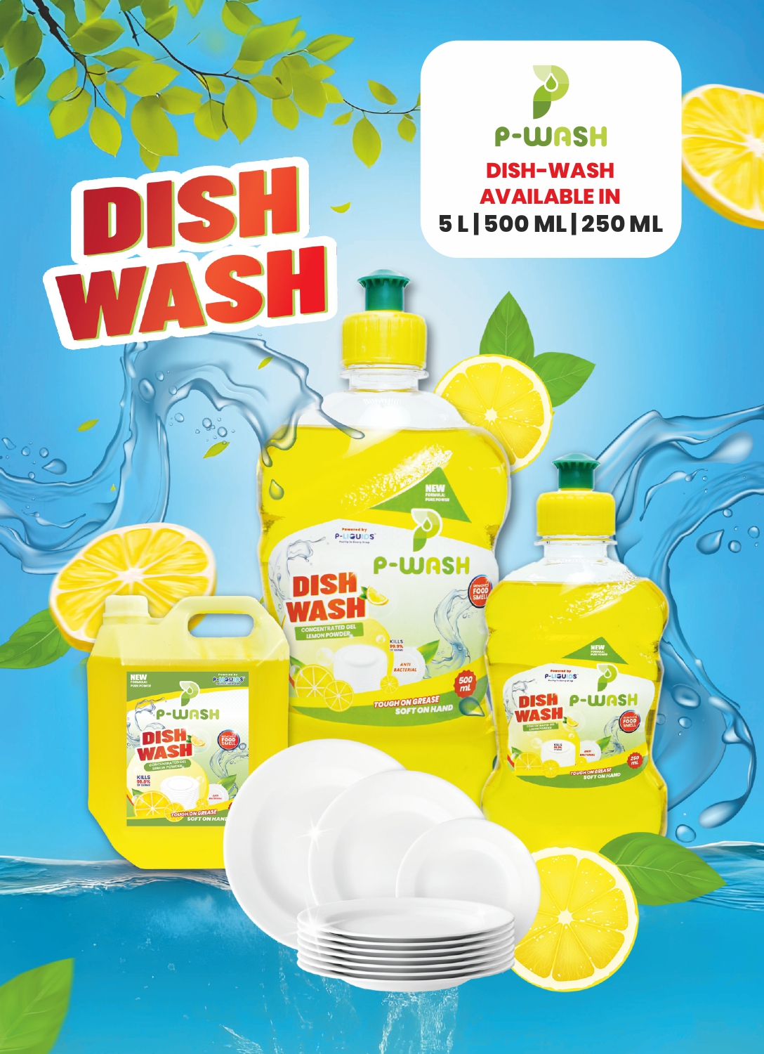 Dish Wash 1L