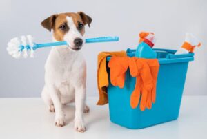 Cleaning Tips For A Pet-Friendly Home